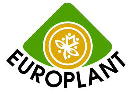 Europlant Pflanzkartoffeln