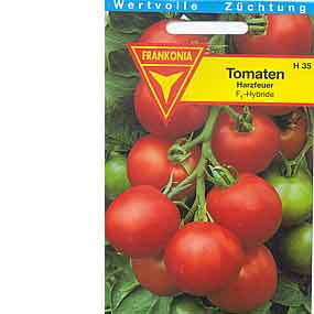 Tomaten Harzfeuer, F1- Hybride