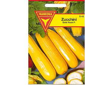 Zucchini Gold Rush F1-Hybride