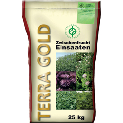 Terra Gold TG-6 lrettichmix - Zwischenfrucht fr Zuckerrben und Gemse
