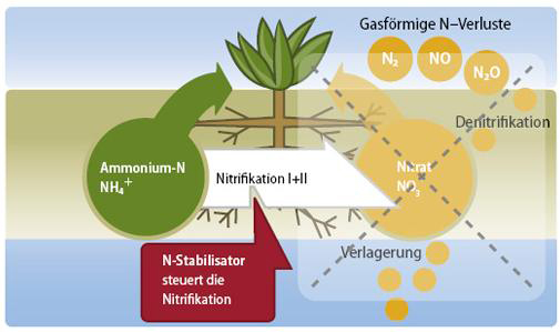 Gesteuerte Umwandlung von Ammoniumstickstoff zu Nitratstickstoff in der Gülle mit PIADIN