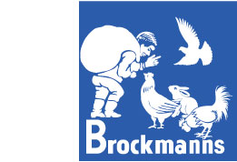 Brockmann's