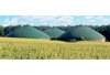 Biogas Saaten