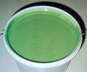 Silolack grün